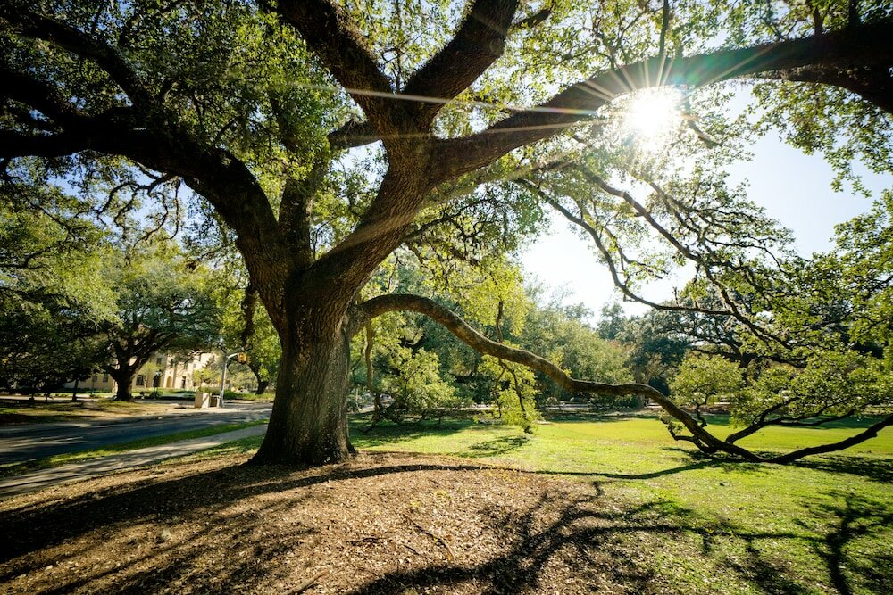 Фото Marriott Baton Rouge