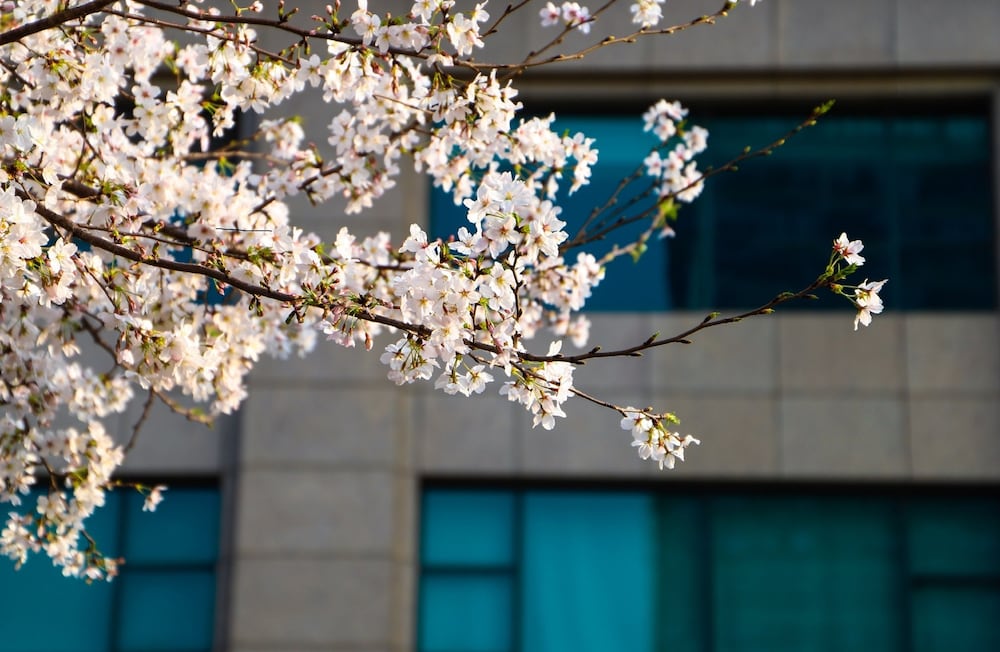 Фото Renaissance Suzhou Hotel