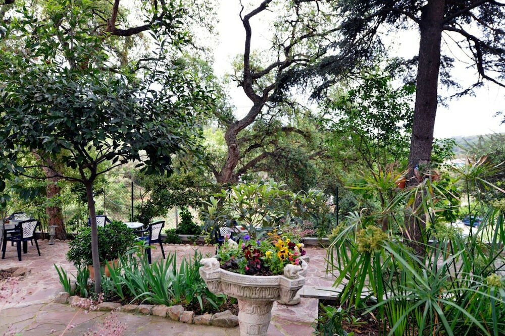 Фото Hostal Magnolia