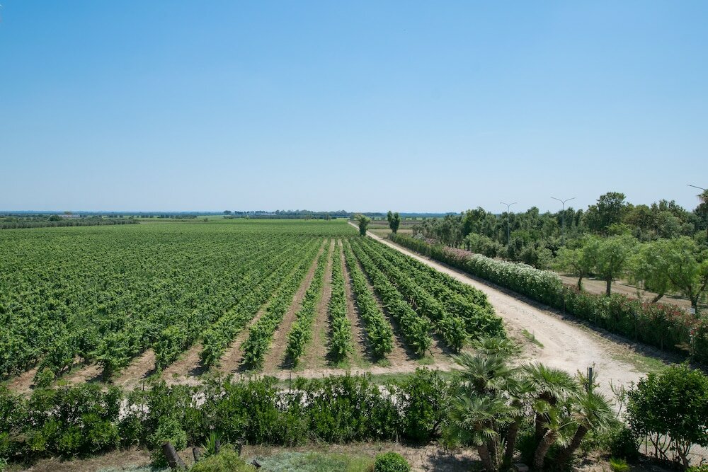 Фото Masseria Mazzetta Salento
