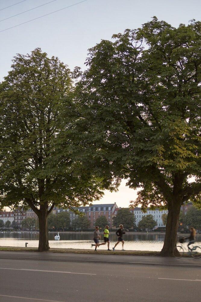 Фото Ibsens Hotel