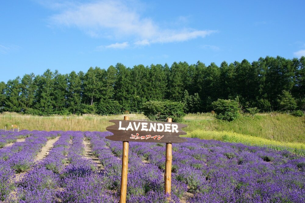 Фото Pension Hoshi Ni Negaiwo