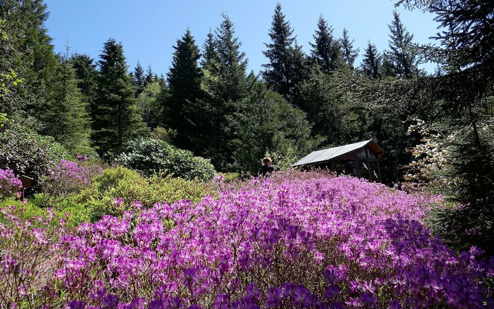 Фото Hotel Thüringenschanze