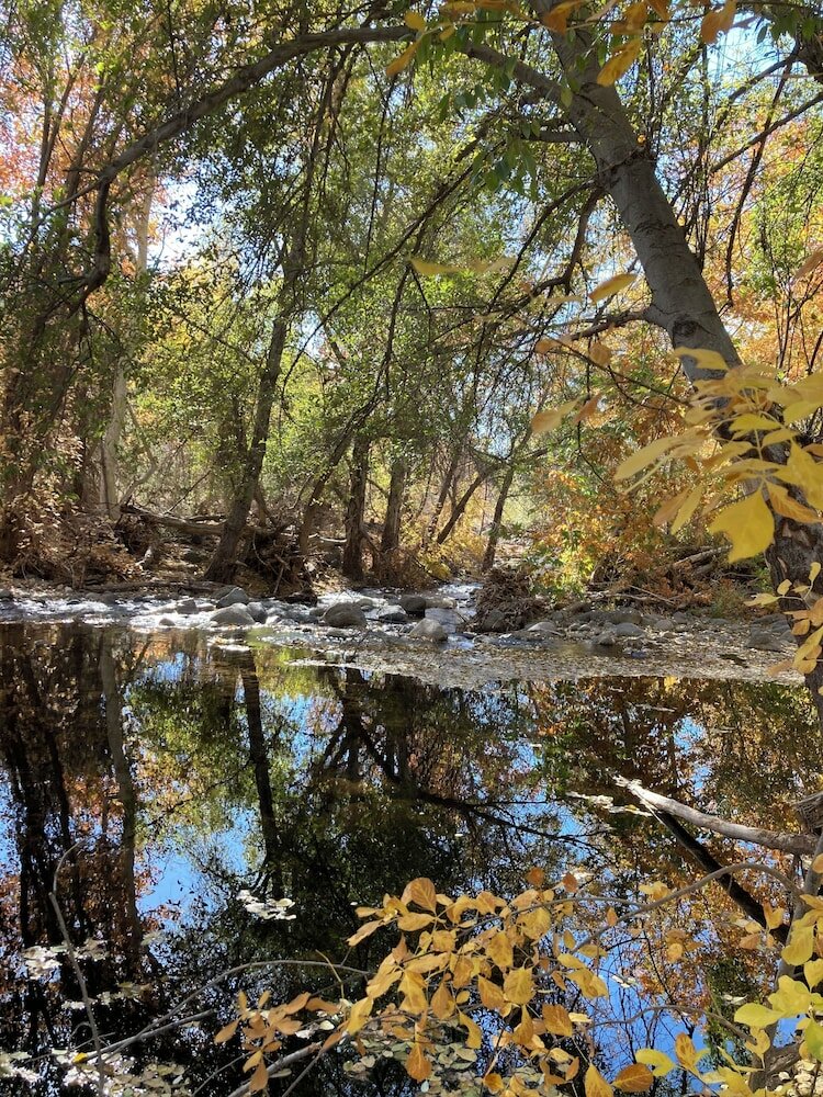 Фото Amara Resort and SPA