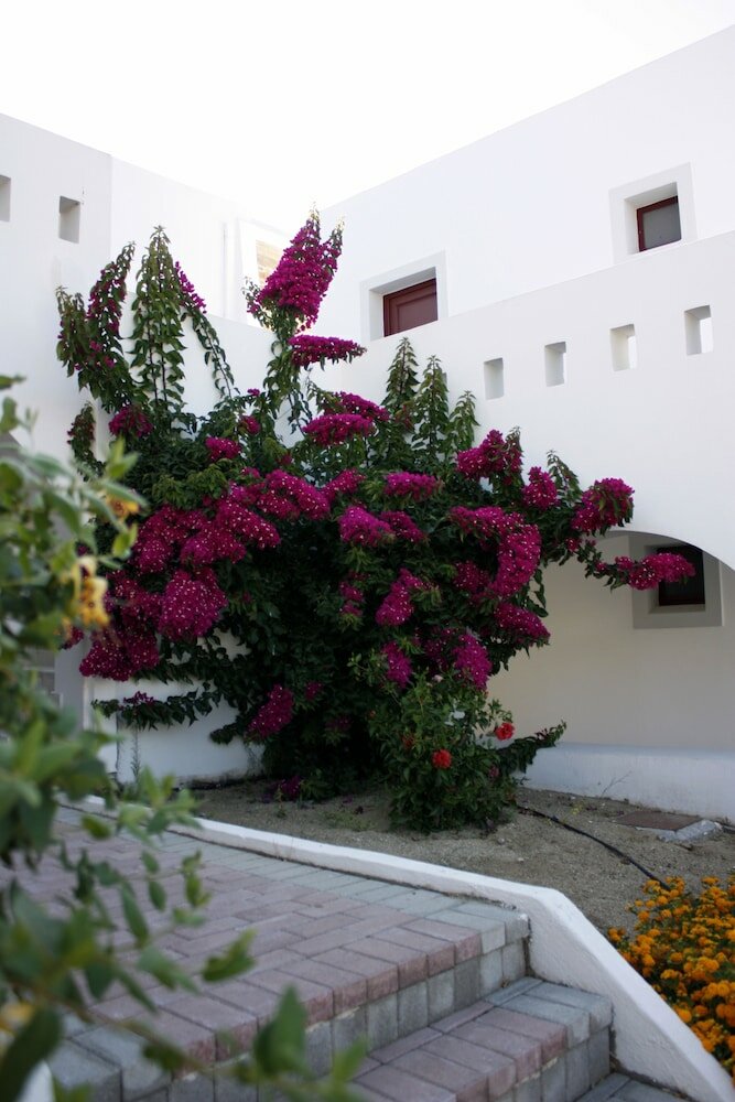 Фото Naxos Palace Hotel