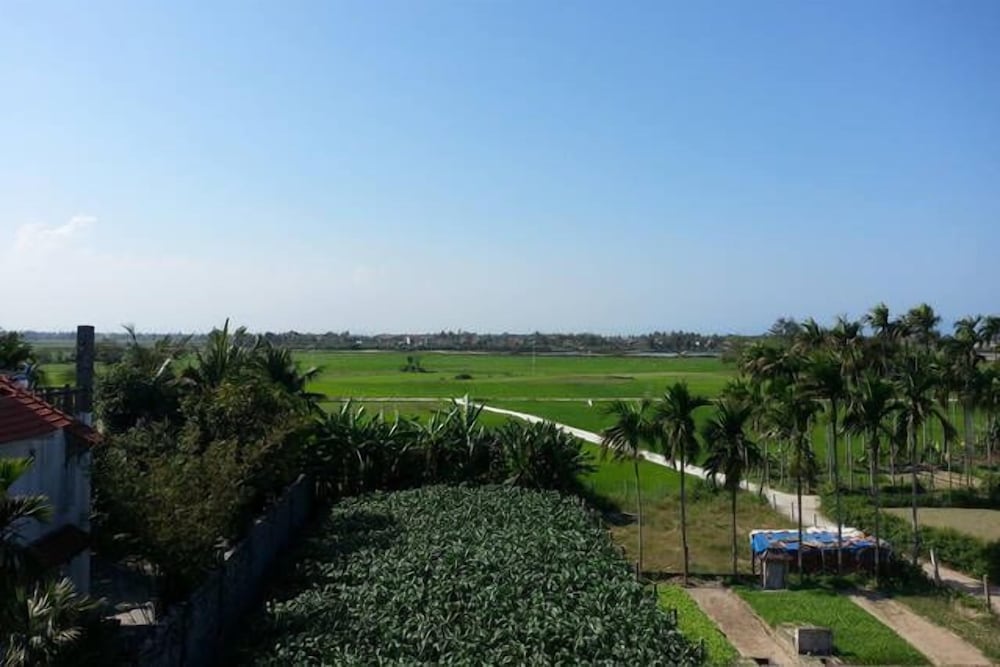 Фото Rice Field Homestay