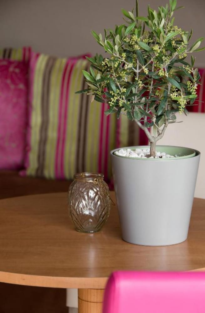 Фото The Originals Boutique, Hôtel Les Strélitzias, Antibes