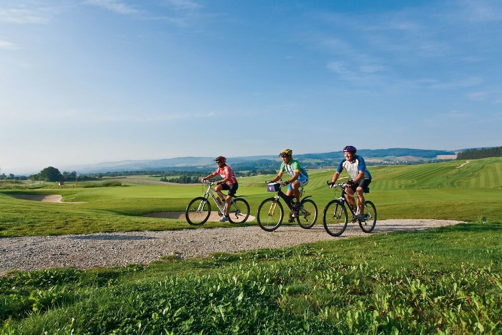 Фото Hotel Lenauhof