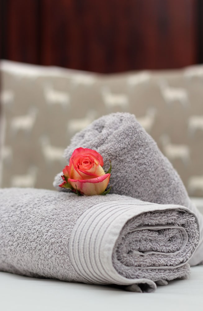 Фото Del Roza Guest House