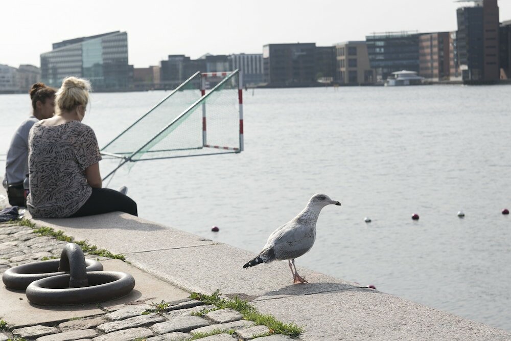 Фото Hotel Copenhagen