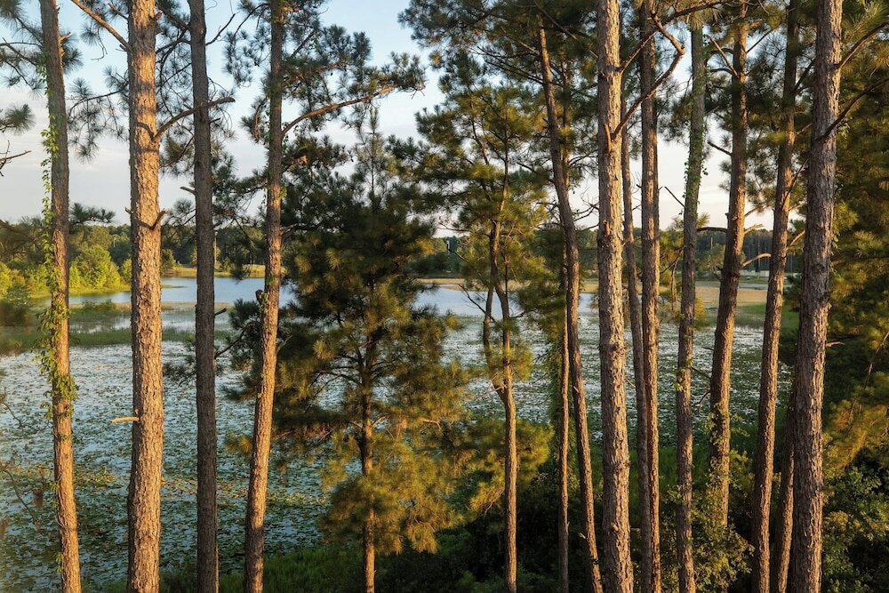 Фото Fairfield Inn by Marriott Savannah Airport