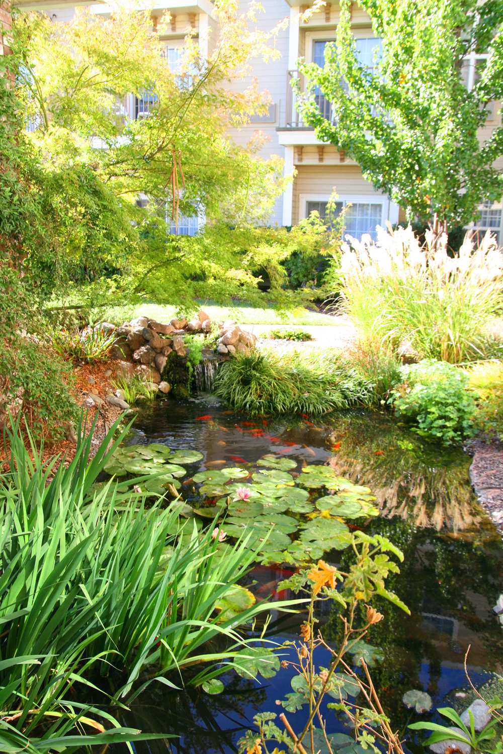 Фото Hampton Inn Ukiah