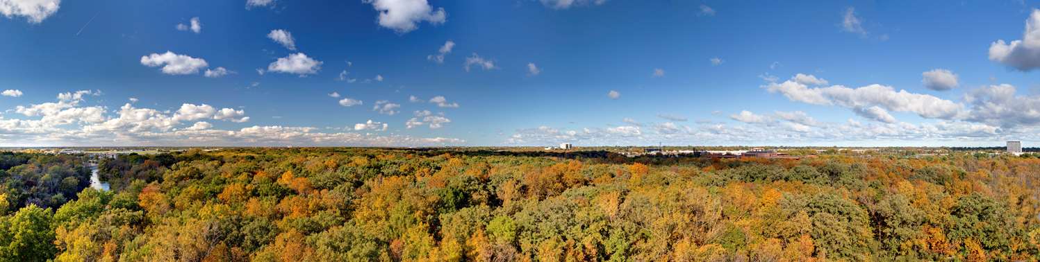 Фото Hilton Chicago/Northbrook