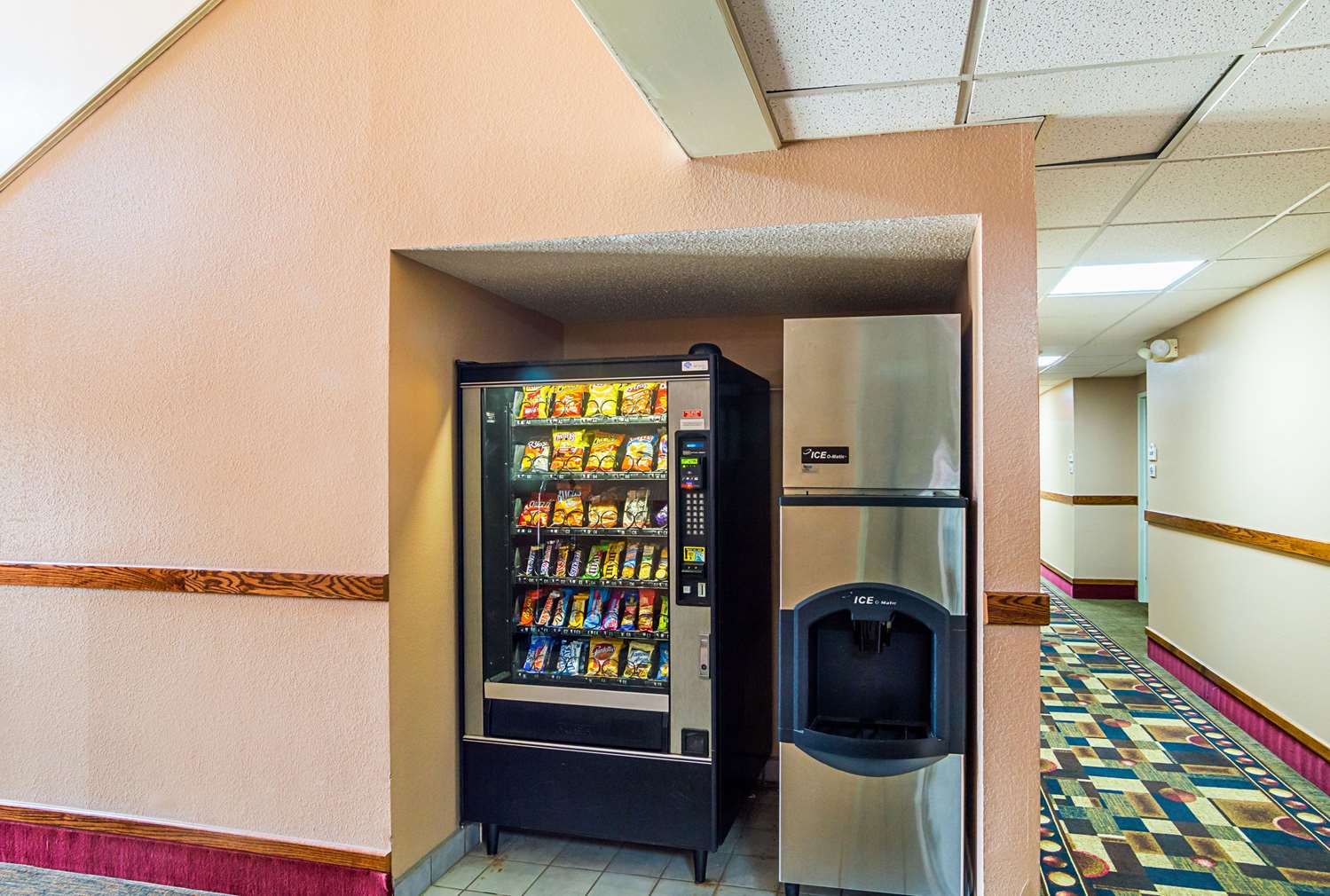 Фото Quality Suites