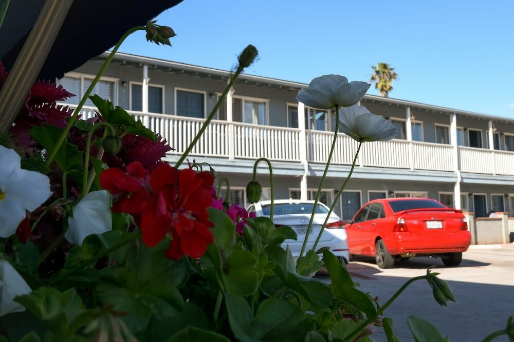 Фото The Shores Inn and Beach Houses