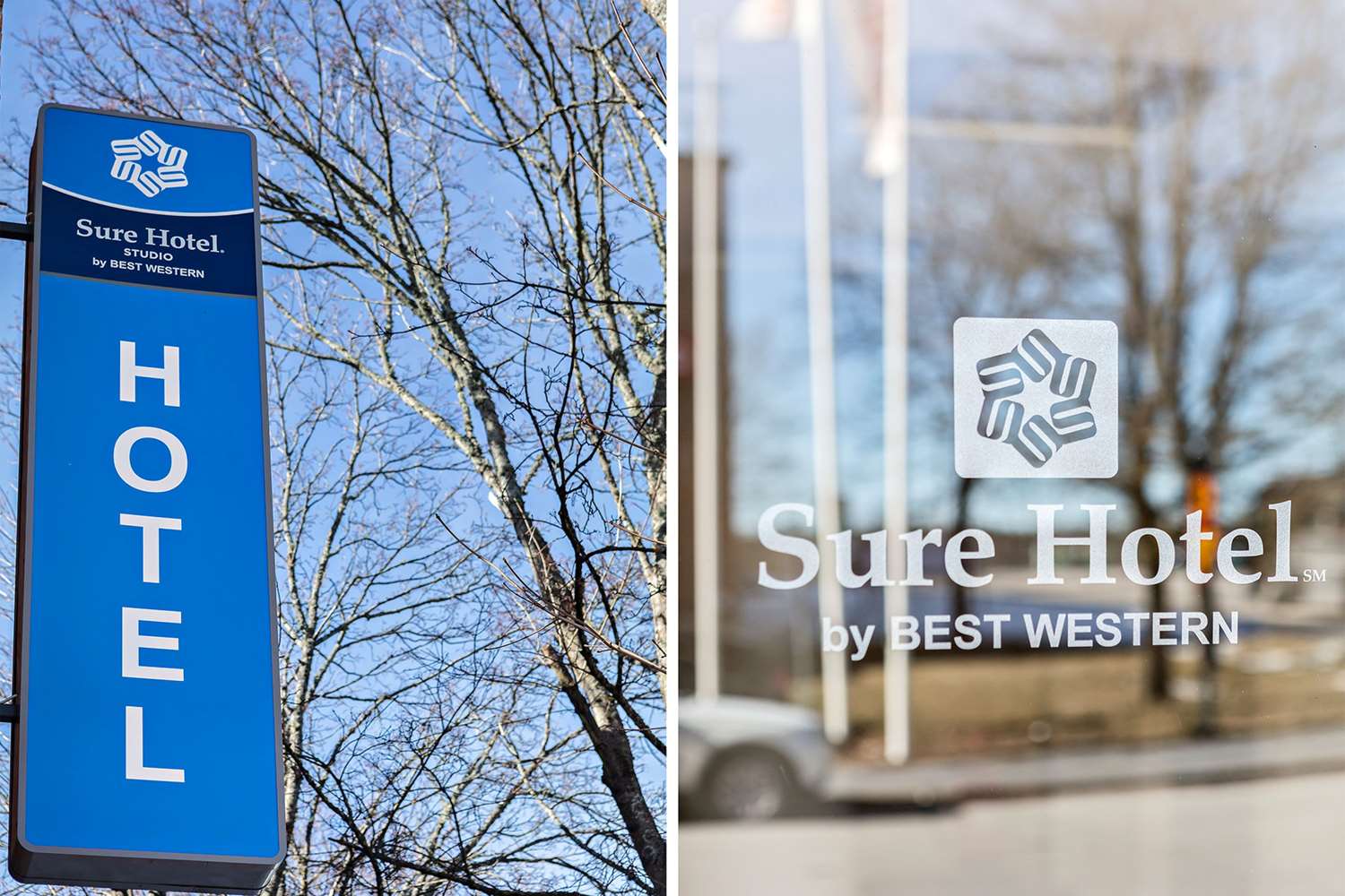 Фото Sure Hotel Studio by Best Western Bromma