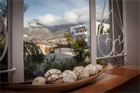 Фото The Lions Guesthouse