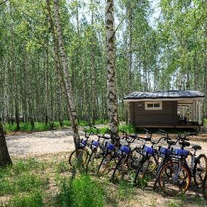 Фото Norke Есенинская Русь