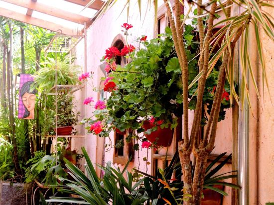 Фото Pousada Pedra Rosa