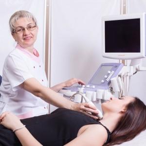 Фото Синдика