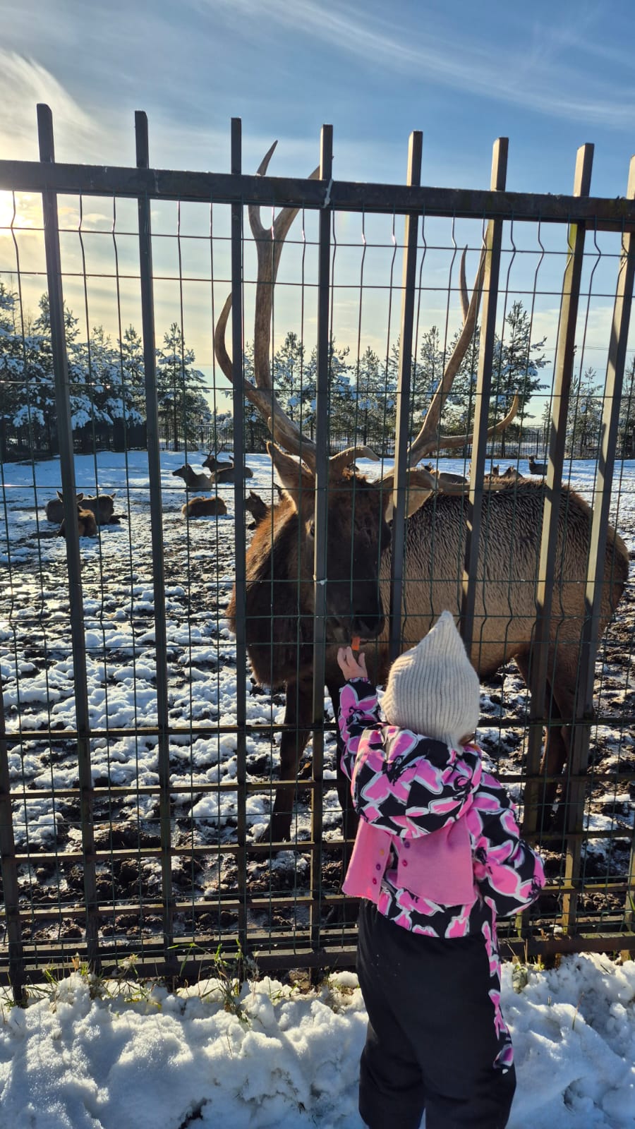 Фото Усадьба Яхрома