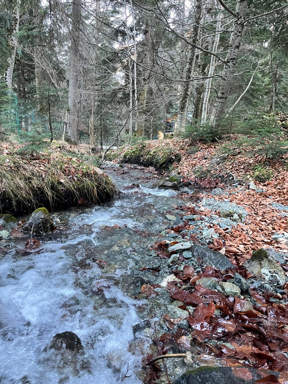 Фото Chalet Monte