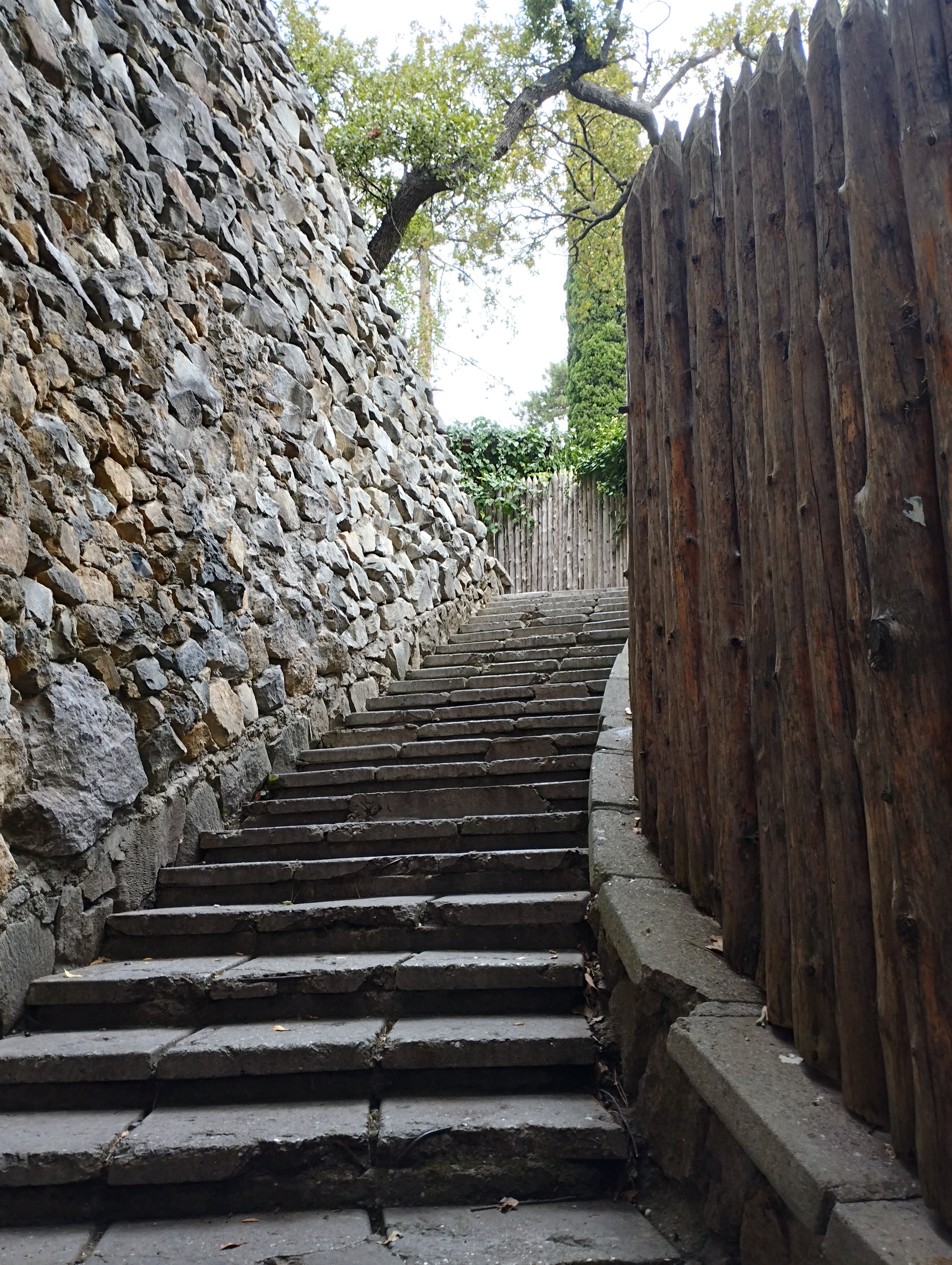 Фото Рубикон