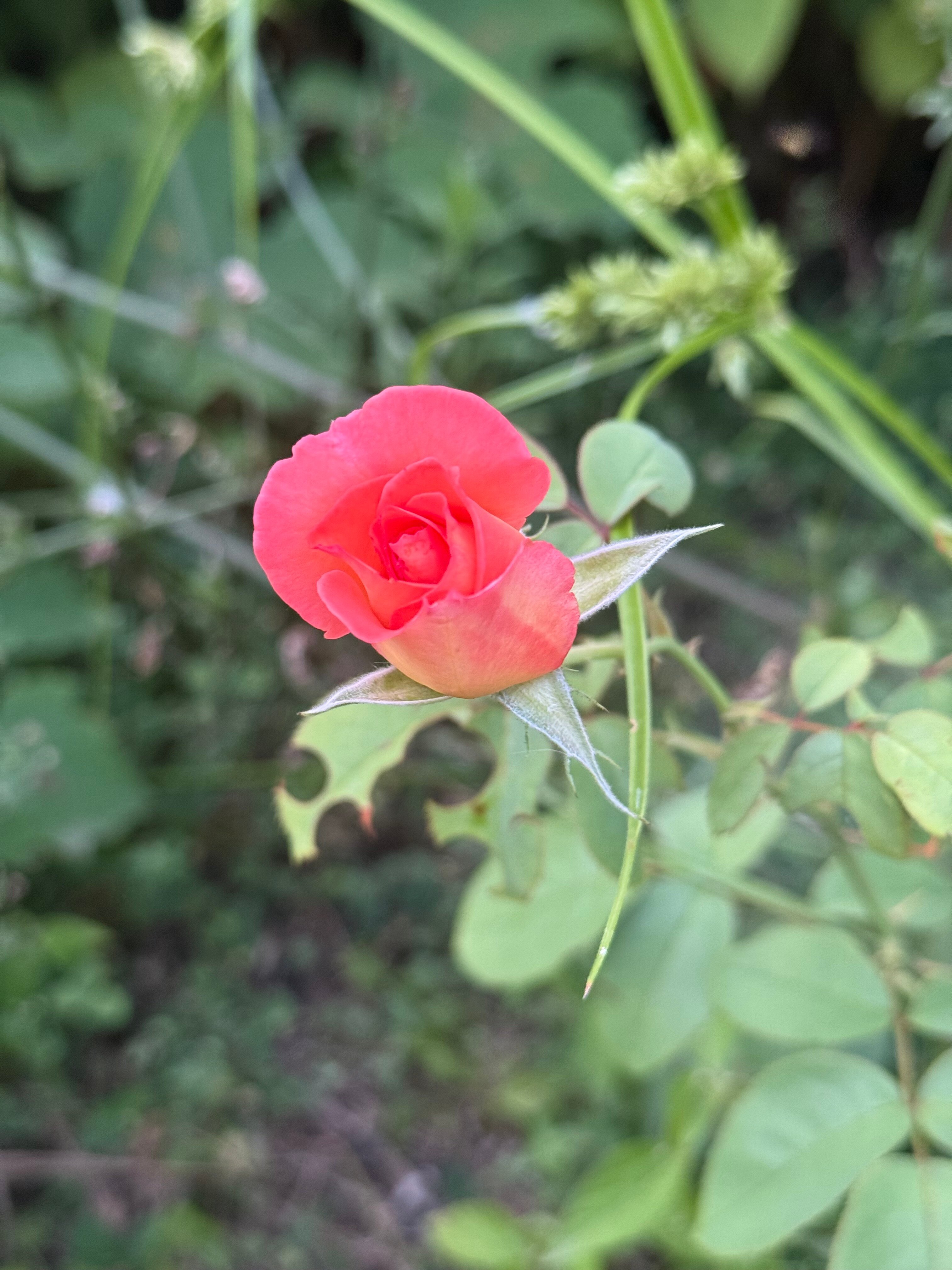 Фото На высоте