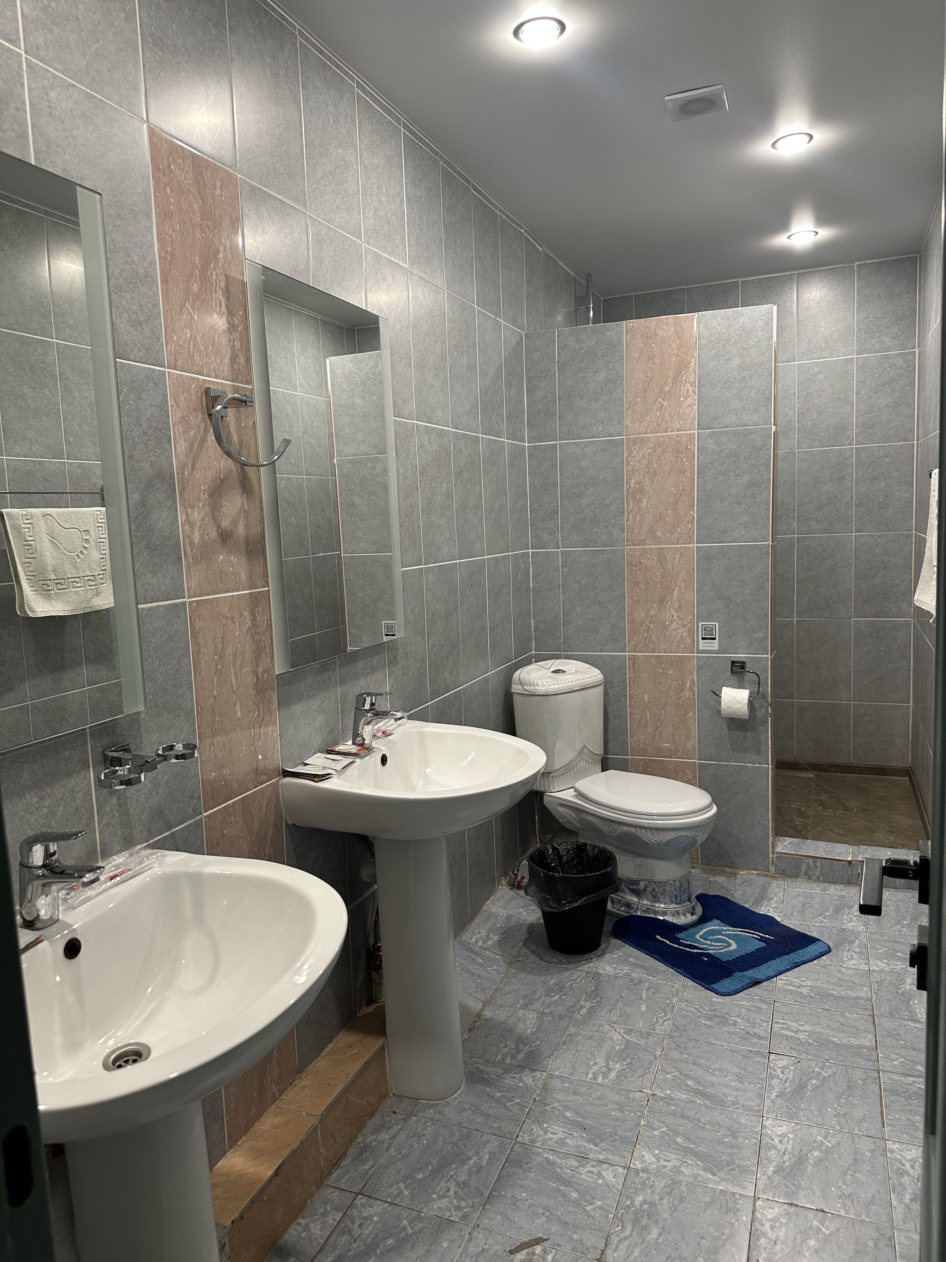 Фото Сапсан