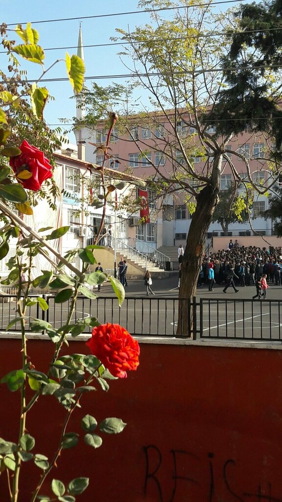 School Mehmet Colakoglu Middle School, Gaziantep, photo