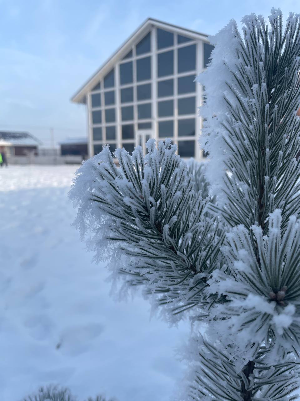 Фото Аляска