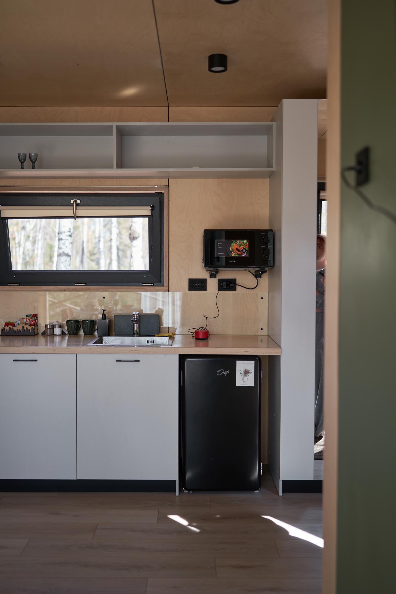 Фото Снежные Гуси