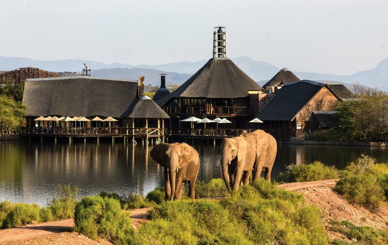 Гостиница Buffelsdrift Game Lodge