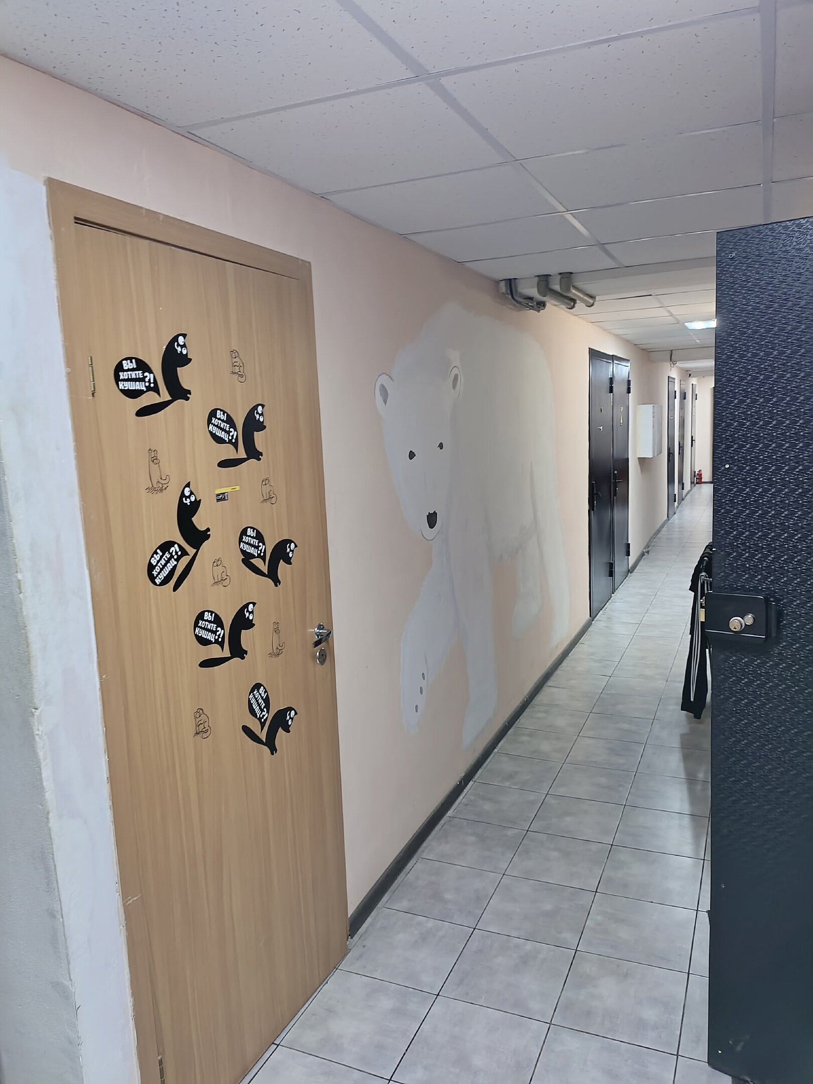 Фото Арктика