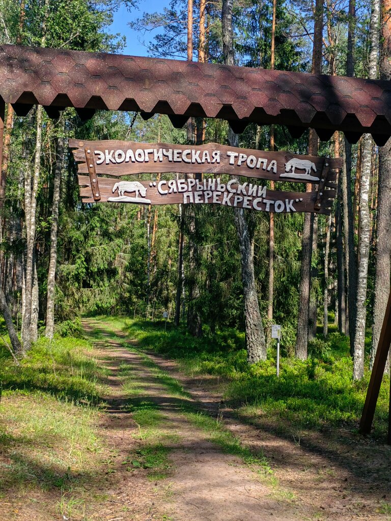 Atracción Экологическая тропа Сябрыньский перекресток, , foto
