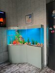 Релакс Интерьер (Aviamotornaya Street, 55к1) ، أحواض السمك