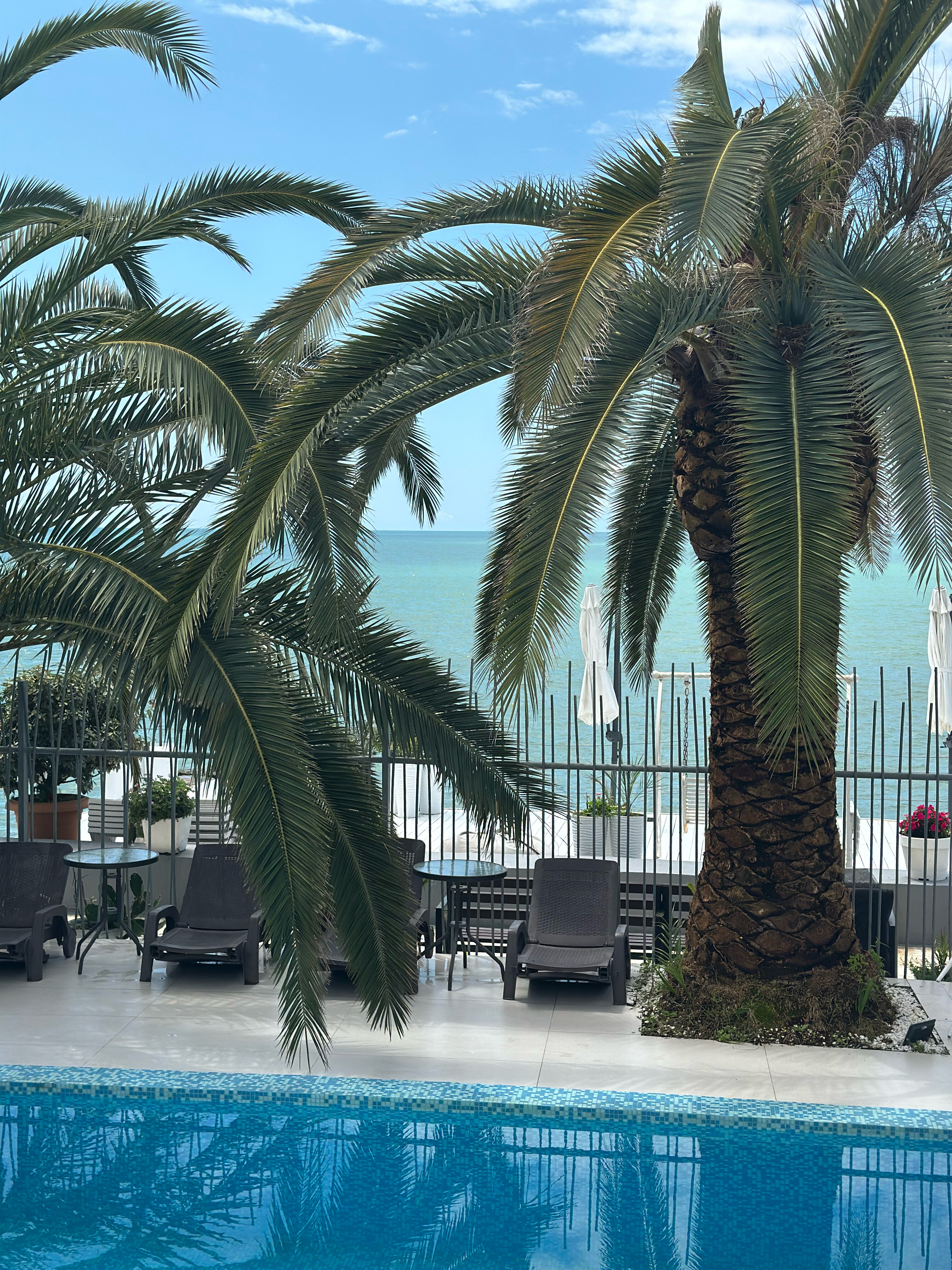 Фото Константа