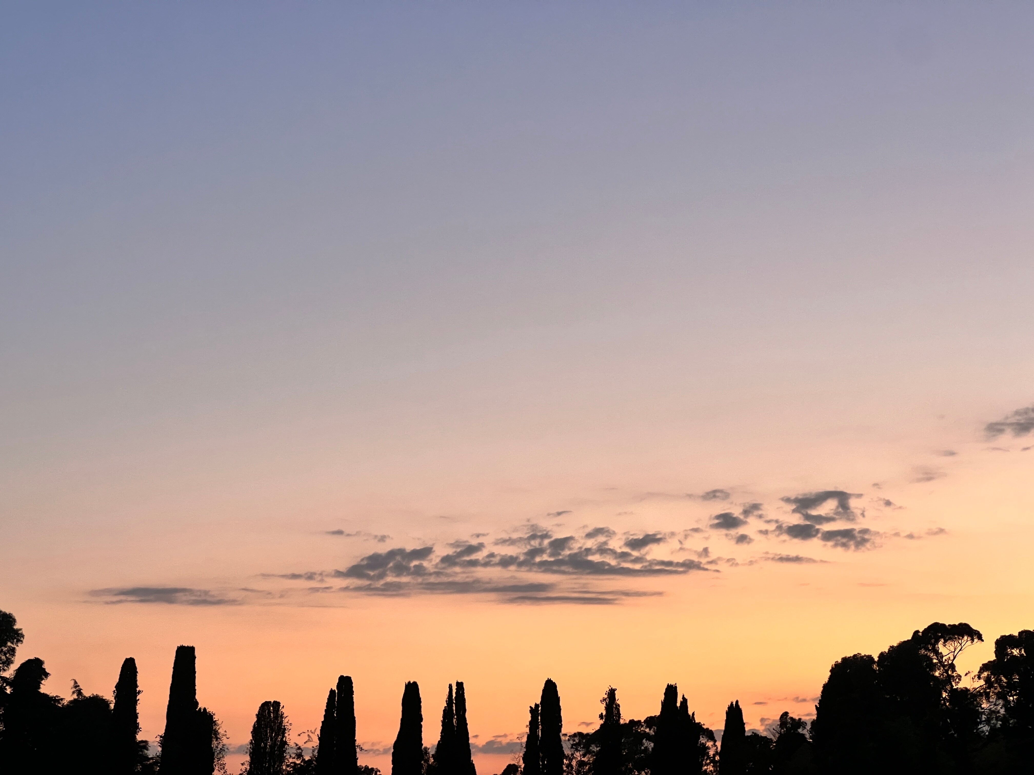 Фото Лесные домики