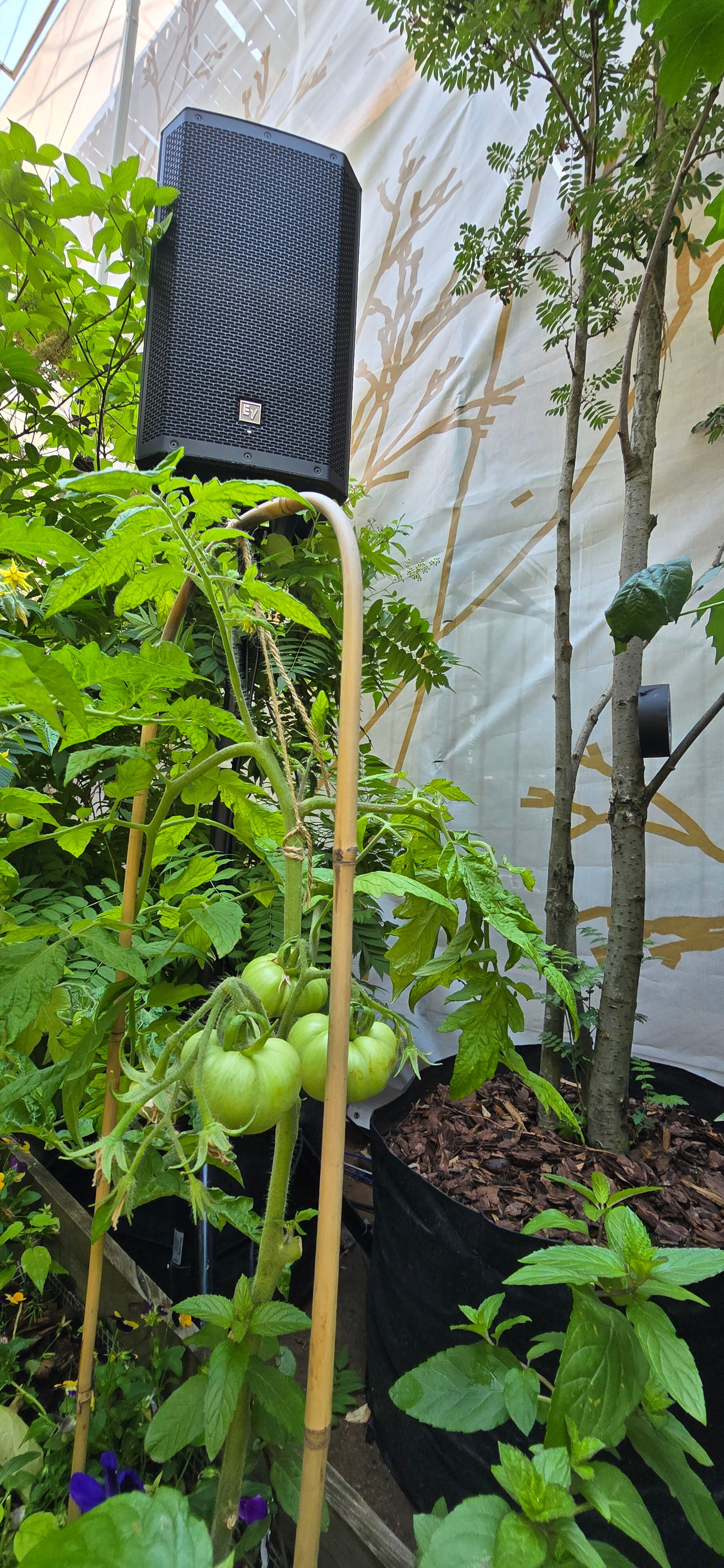 Фото Рихтер