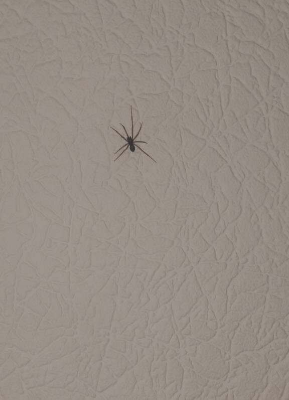 Фото Софи Голд