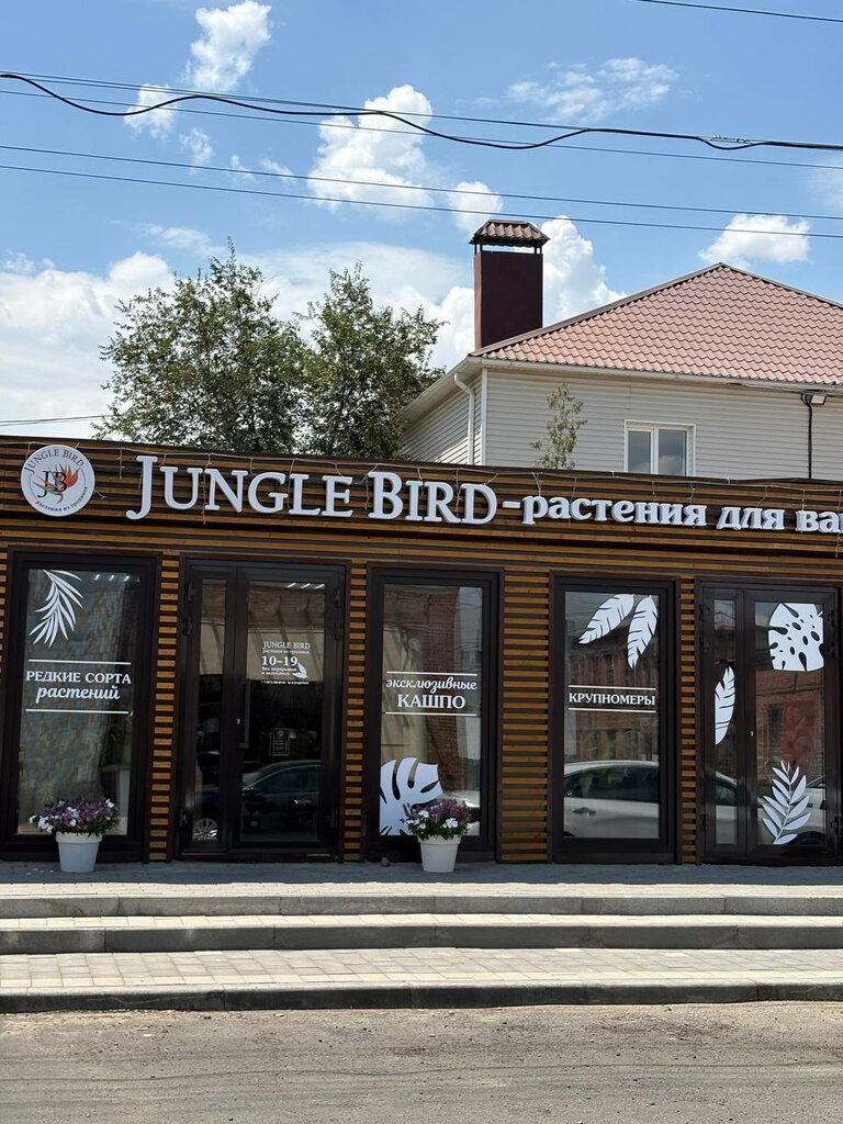 Flower shop Jungle Bird, Astrahan, photo