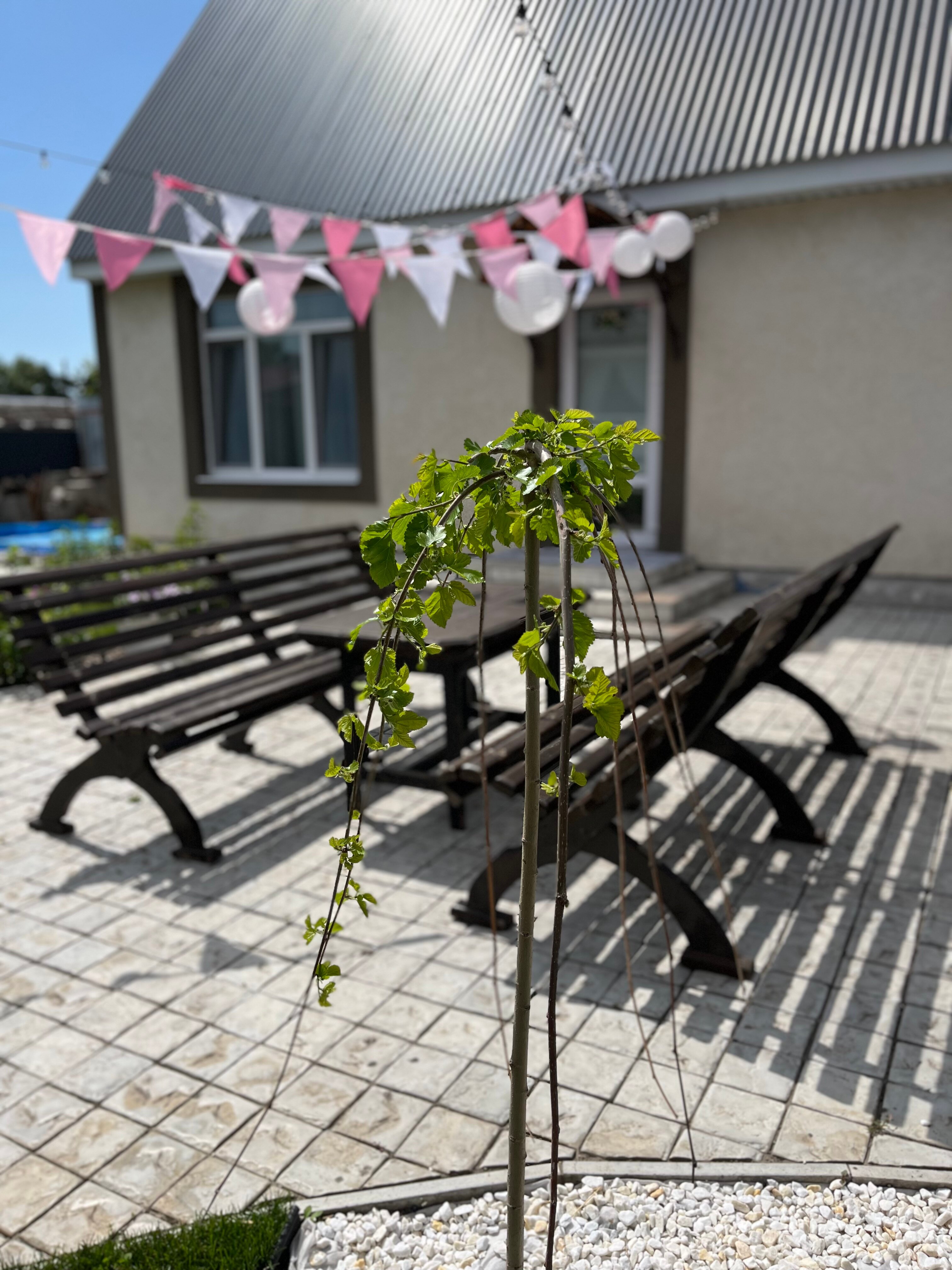 Фото Уютное Гнёздышко