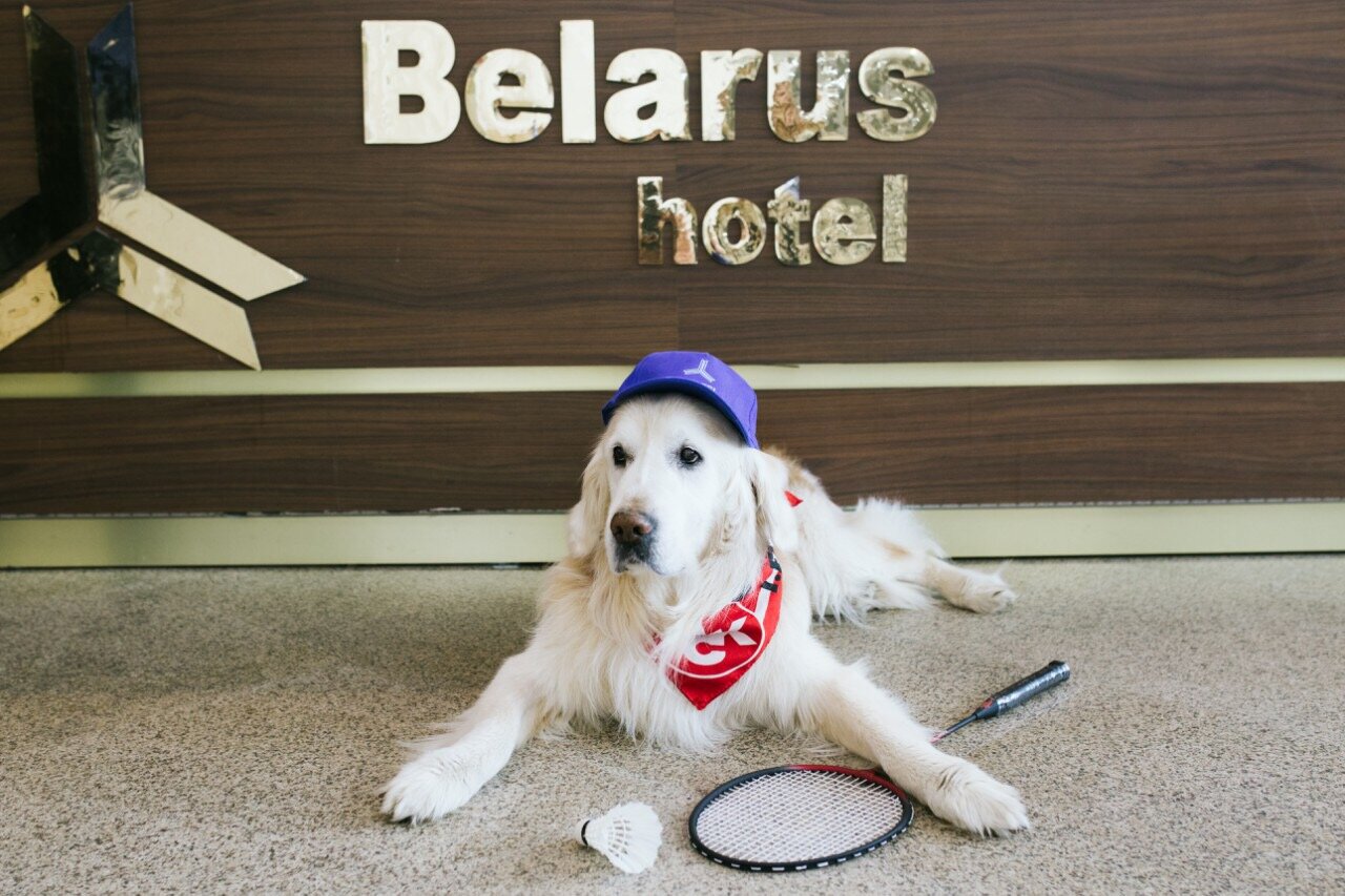 Фото Гостиница Беларусь