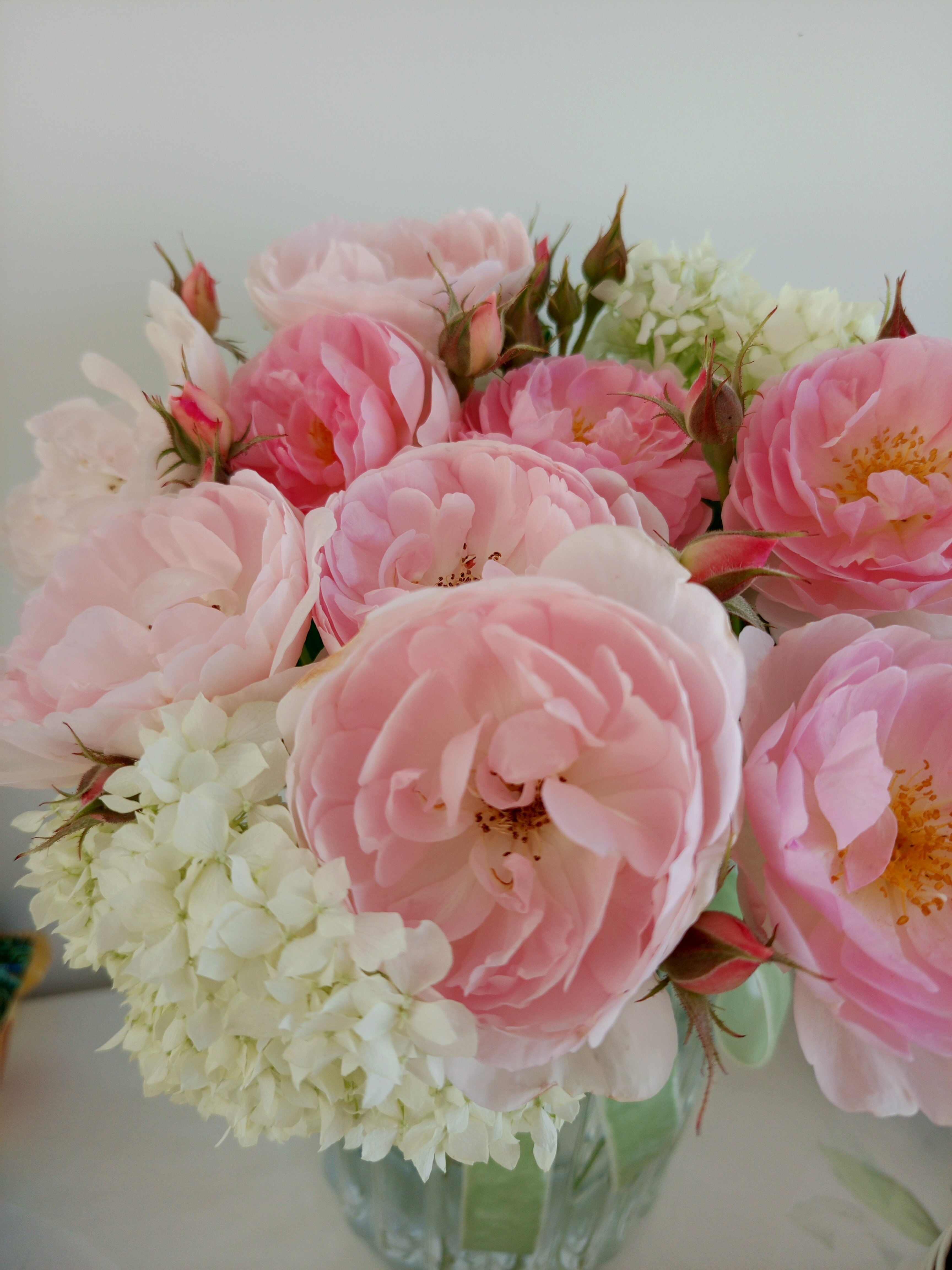 Фото Зюзино