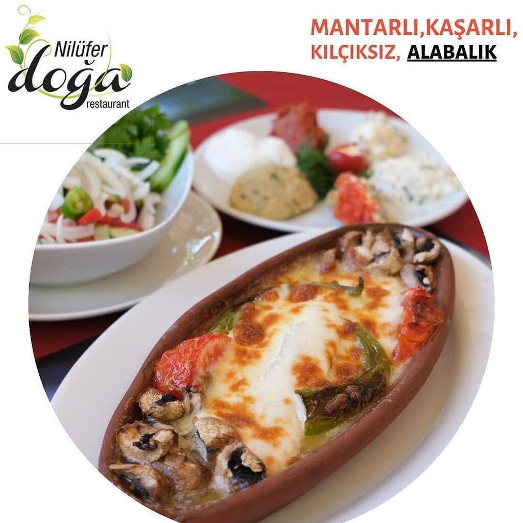 Software companies Dedo Software, Bursa, photo