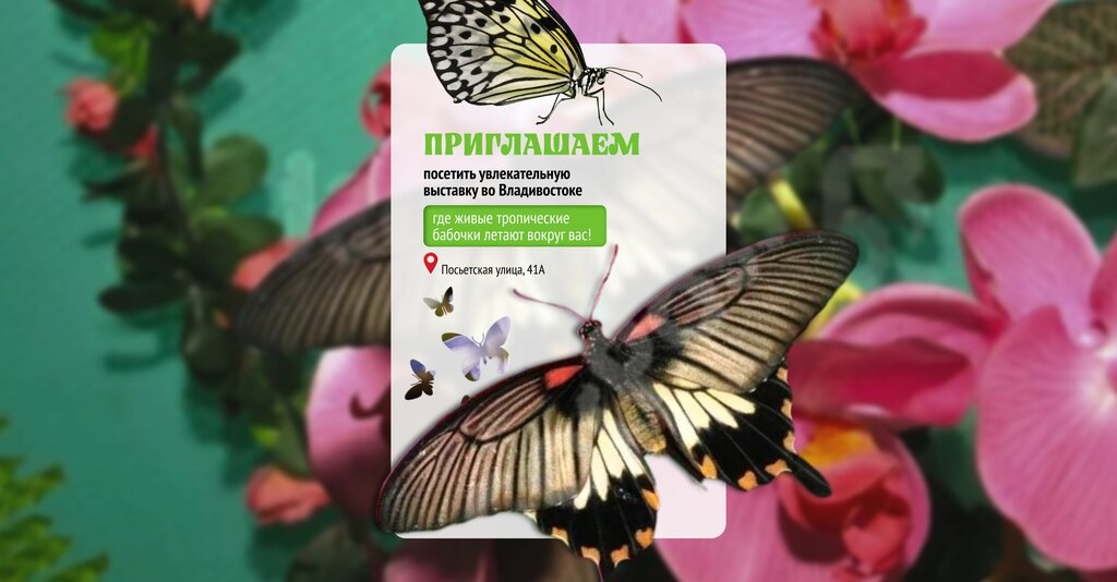 Exhibition center Dom babochek Vostorg, Vladivostok, photo