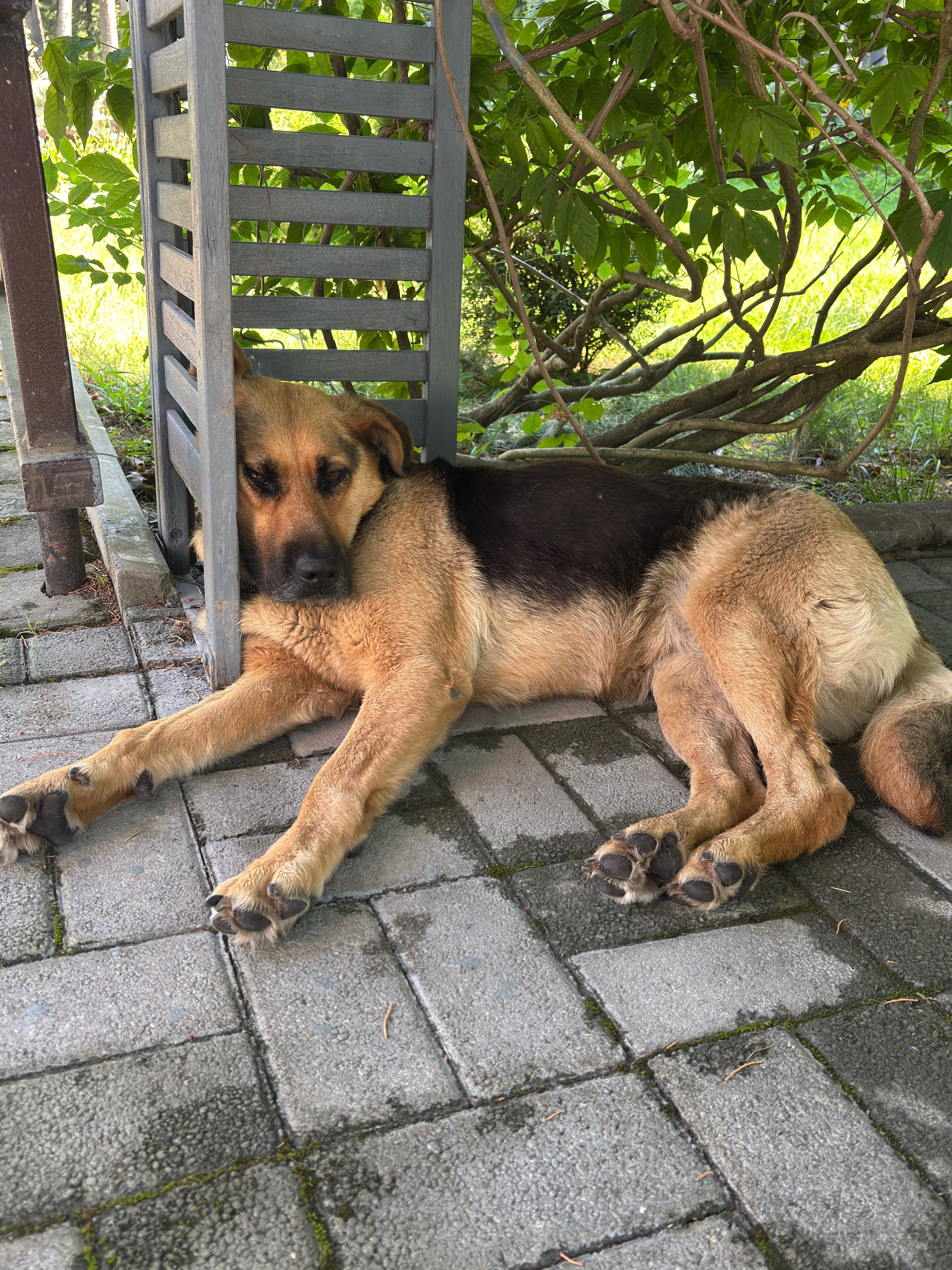 Фото Пицунда