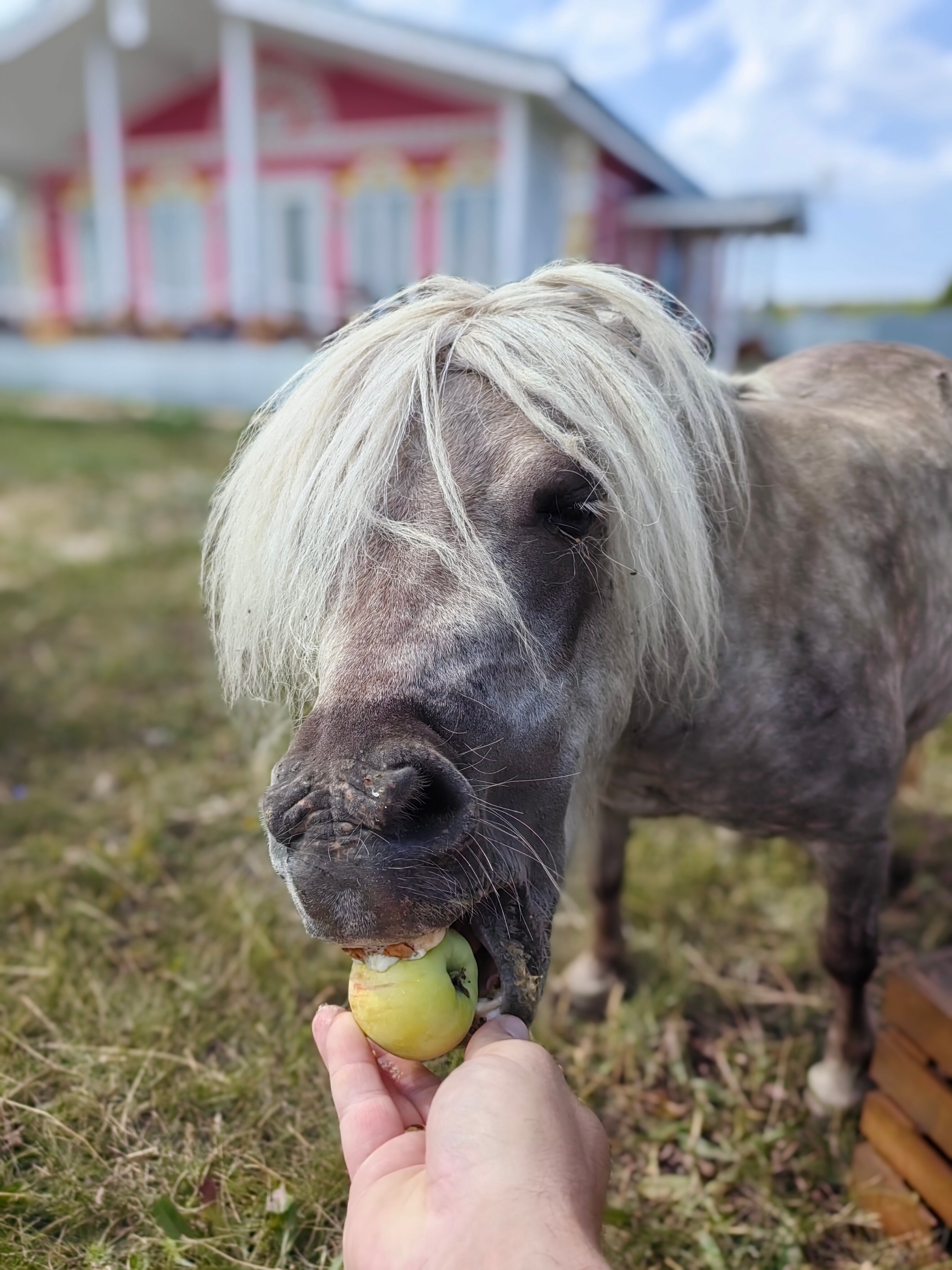 Фото Хвалынская усадьба