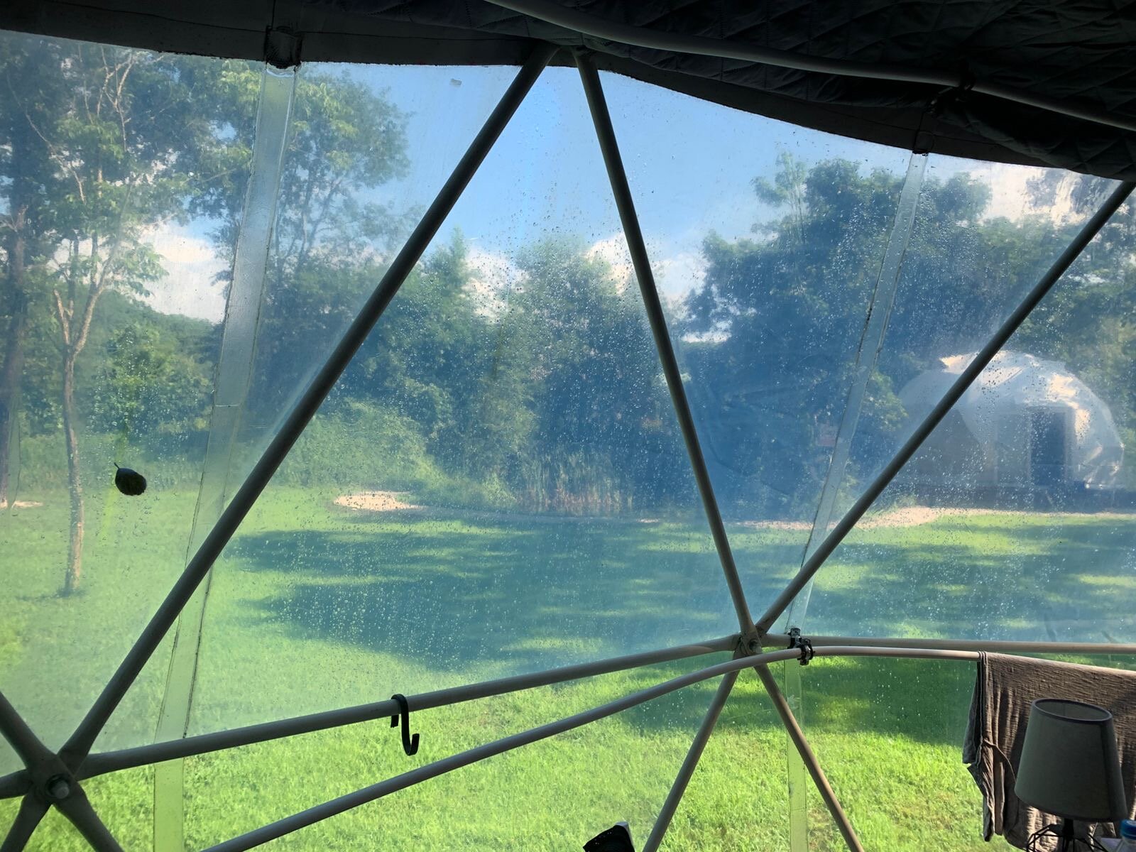 Фото Граф Потоцкий