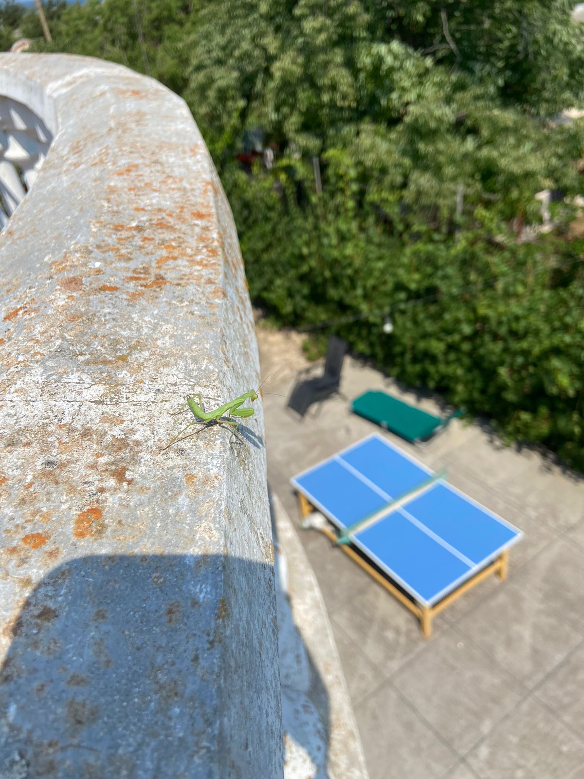 Фото Минчанка